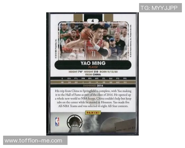 姚明黄金时刻：从篮球场到人生舞台的传奇旅程与启示