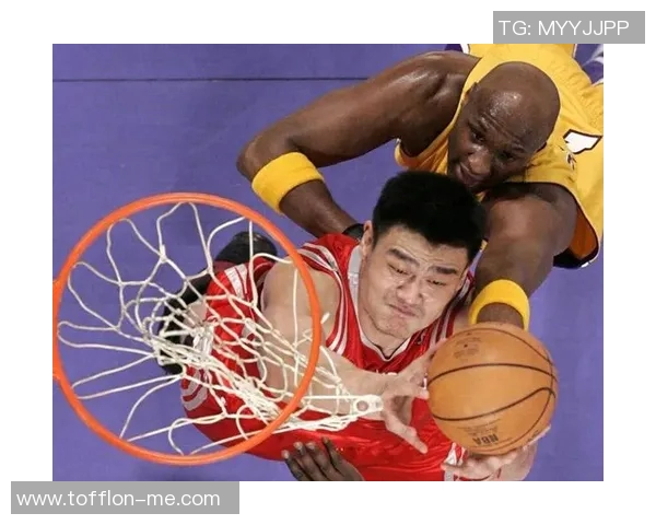 姚明夫妇的传奇人生与职业成就全景回顾与分析